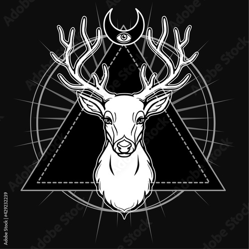 Mystical image of the head of a horned deer, sacred geometry, symbols of the moon. White drawing isolated on a black background. Vector illustration. Print, potser, t-shirt, card.