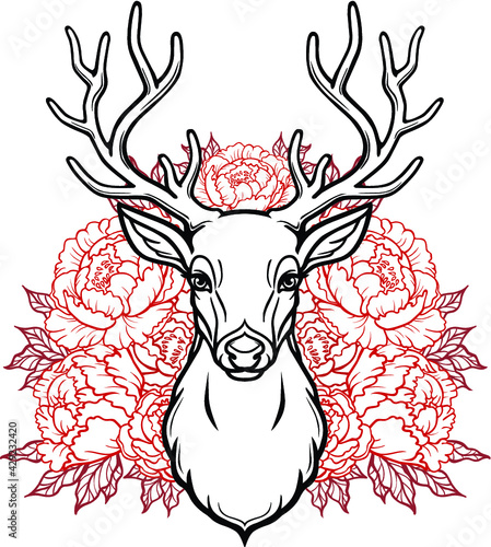 Linear drawing of the head of a young horned deer, openwork red flowers. Vector illustration isolated on a white background. Print, potser, t-shirt, card.