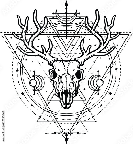 Mystical image of the  skull a horned deer, sacred geometry, symbols of the moon. Esoteric, paganism, occultism.Vector illustration isolated on a white background. Print, potser, t-shirt, card. 