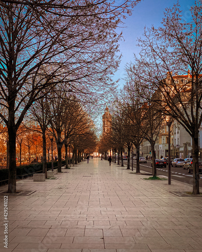 Sidewalk with leafless trees in Place Bellecour