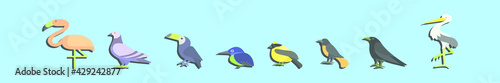 set of bird cartoon icon design template with various models. vector illustration isolated on blue background © eny