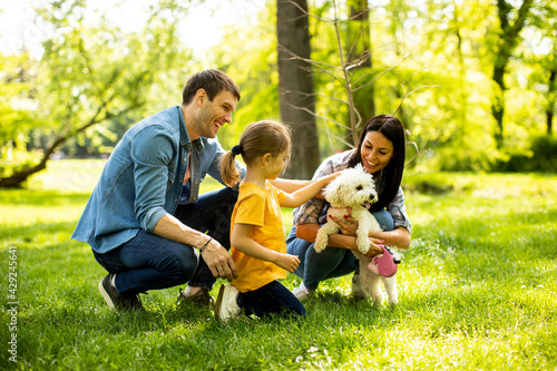 Beautiful happy family is having fun with bichon dog outdoors Fototapeta