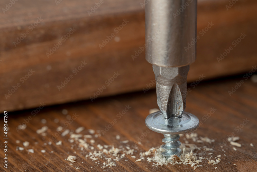 Self-tapping screw screwed into a wooden board close-up. Screw for wood Self-tapping screw screwed into a wooden board close-up. Screw for wood