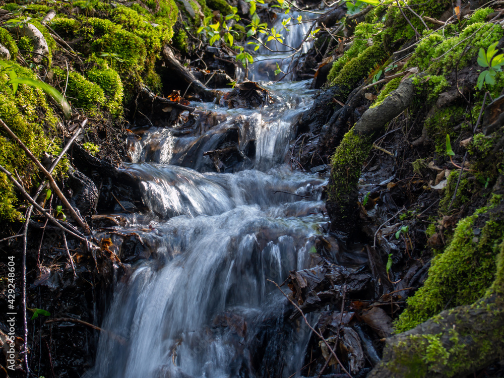 rushing stream in the forest rushing stream in the forest