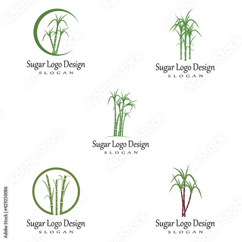 Sugar cane Logo Template vector symbol nature