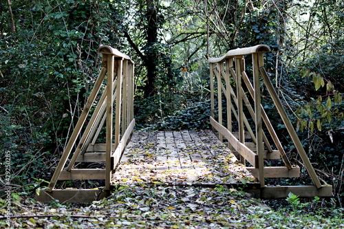 Wooden bridge in a swampy forest. Wood of Tanali photo