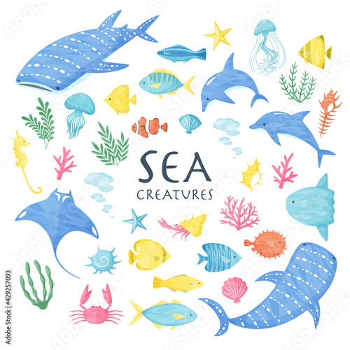 colorful illustration of sea creatures