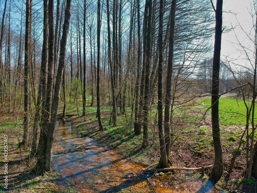 Aerial view of countryside in Belarus