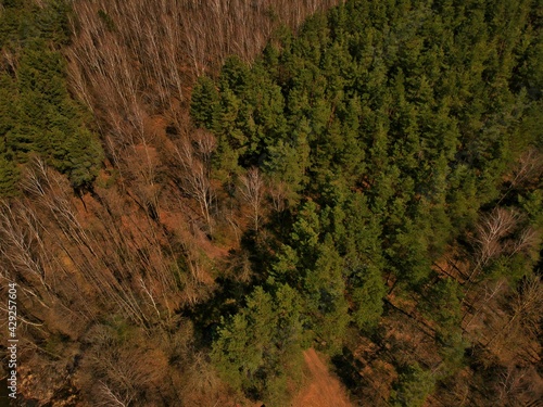 Aerial view of countryside in Belarus