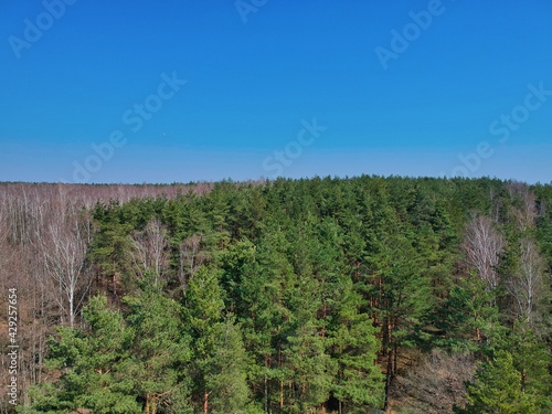 Aerial view of countryside in Belarus