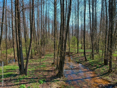 Aerial view of countryside in Belarus