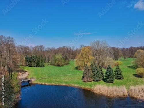 autumn in the park