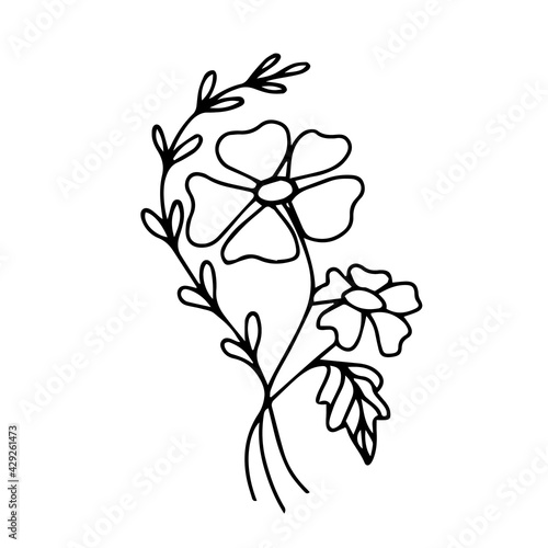 Wild flowers with leaves on a white background hand drawn. Exotic summer flower