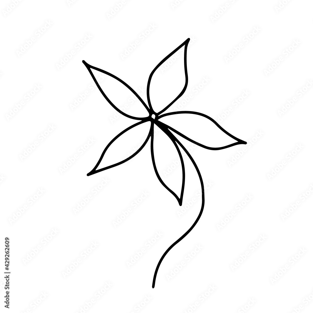 Hand drawn summer flower with long petals on a white background without leaves. Hand drawn summer flower with long petals on a white background without leaves.