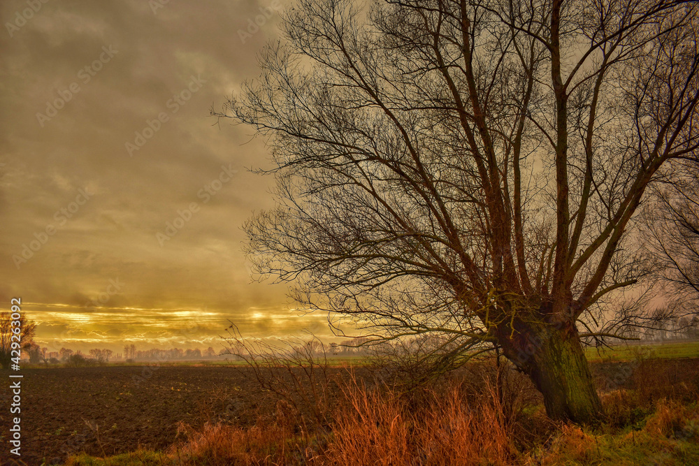 autumn sunset