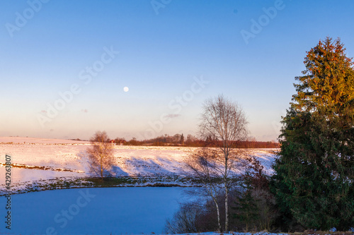 winter landscape with lake © Grzegorz