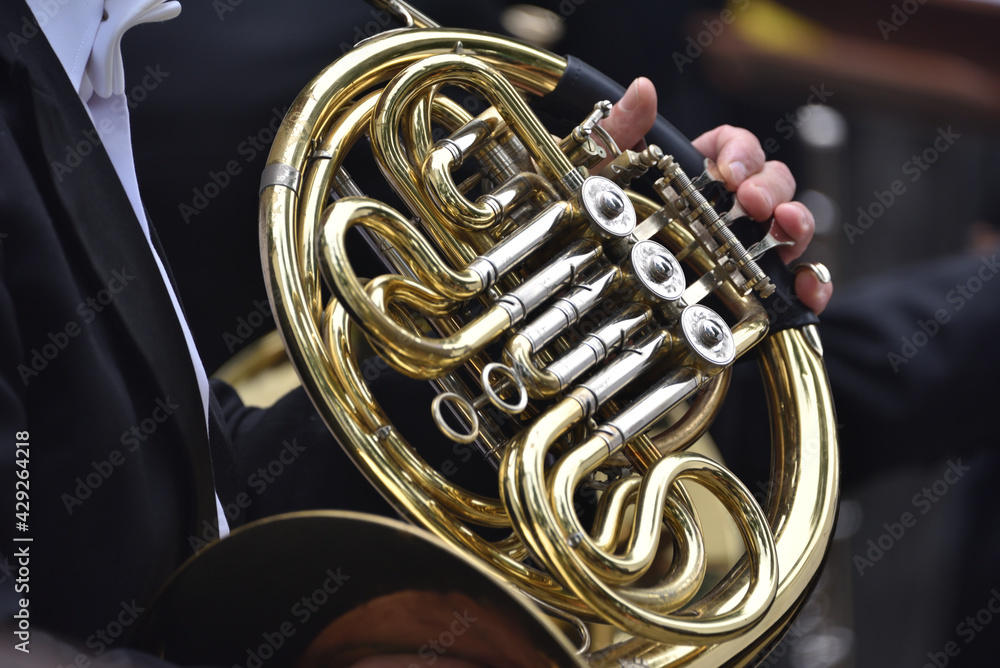 Fototapeta premium A French horn in the hands of a musician, during a classical music concert