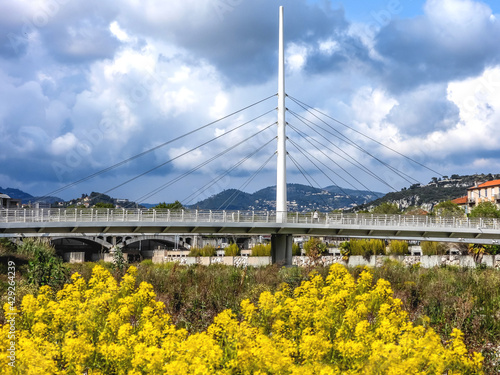 Passerelle haubanée avec un parterre de fleurs jaunes au premier plan  © Bernard