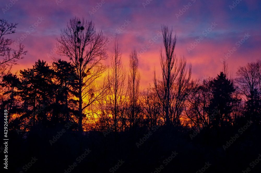 Obraz premium Violet Sunset