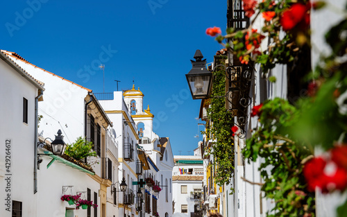 White buildings decorated with flowers in the old neighborhood of San Basilio in Cordoba, Spain © golovianko