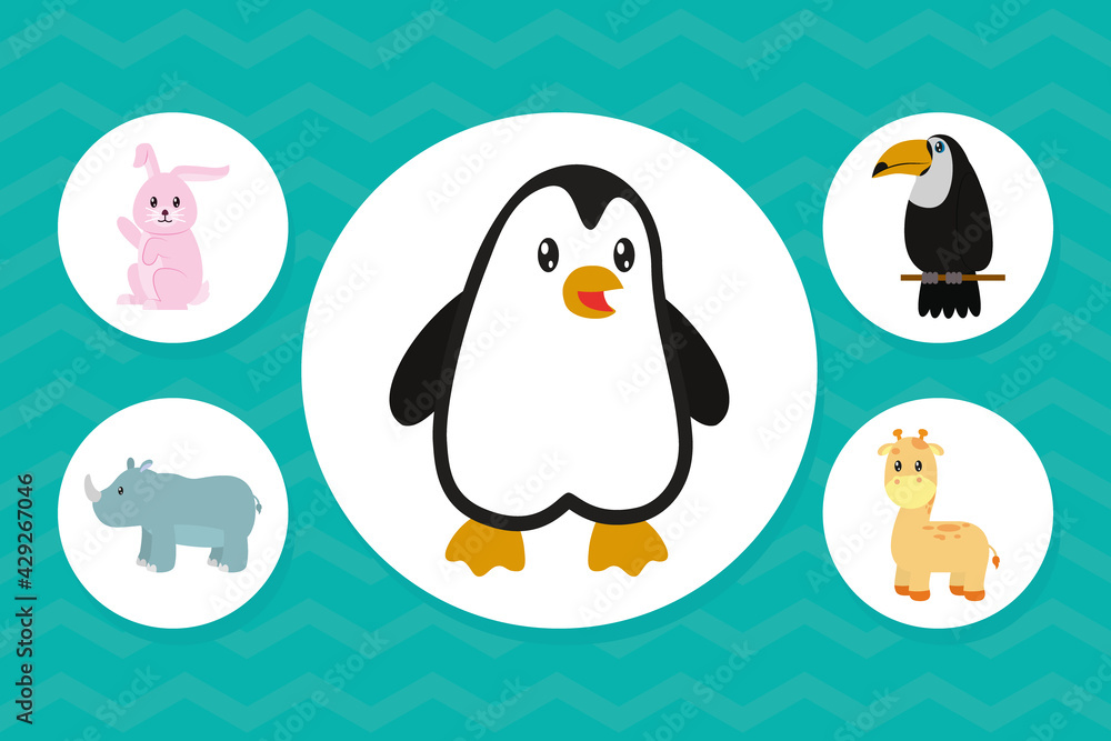 Fototapeta premium penguin and animals