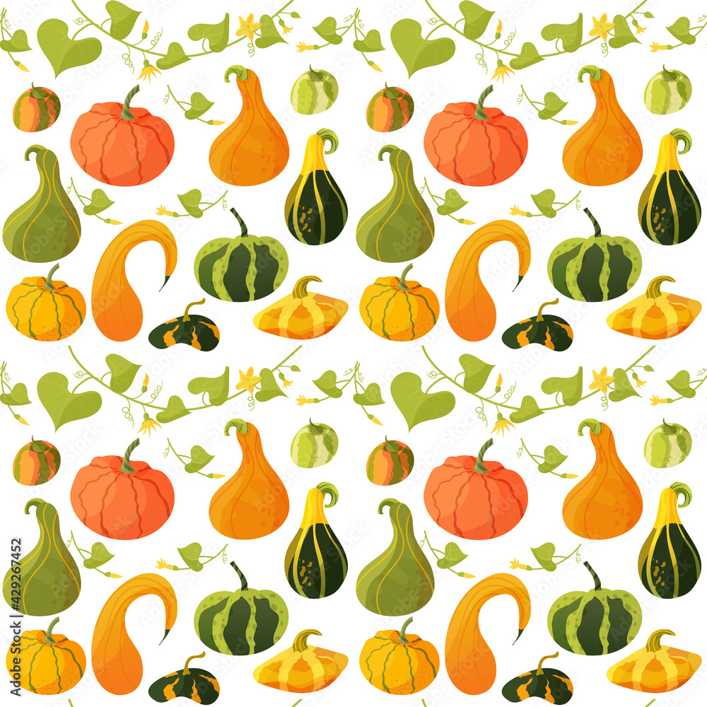 Fototapeta premium Different pumpkin with leaves seamless pattern, vector illustration in cartoon style 