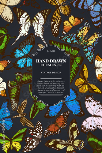 Card design on dark background with great orange-tip, emerald swallowtail, jungle queens, plain tiger, rajah brooke's birdwing, papilio torquatus, swallowtail butterfly