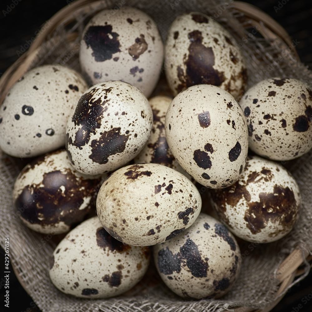 Wicker basket canvas napkin filled with eggs close-up of quails on wooden table. Wicker basket canvas napkin filled with eggs close-up of quails on wooden table.
