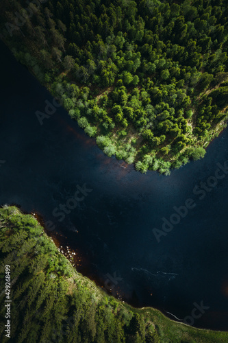 Overhead view of forest and a river