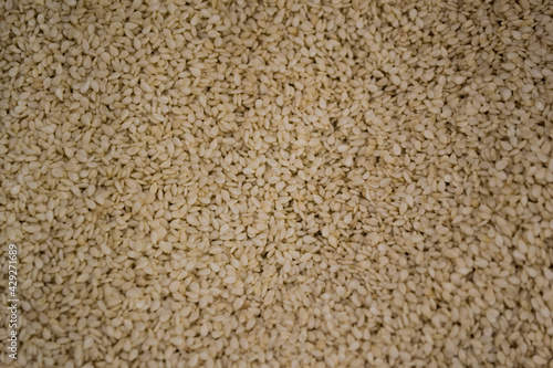 Lots of white dried sesame seeds. Simple food background