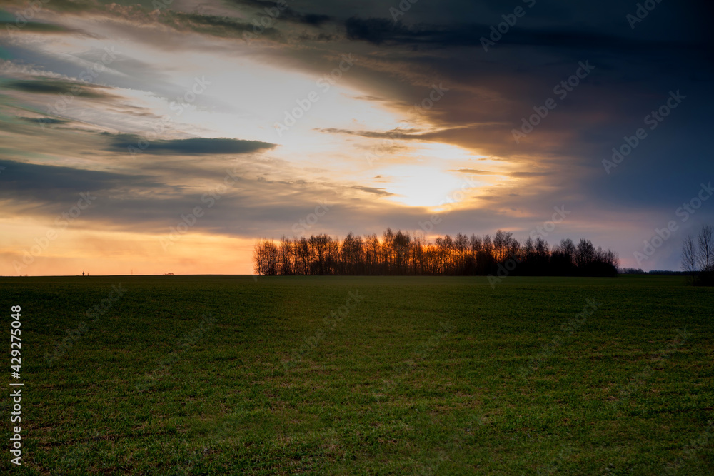 Sunset on the spring field