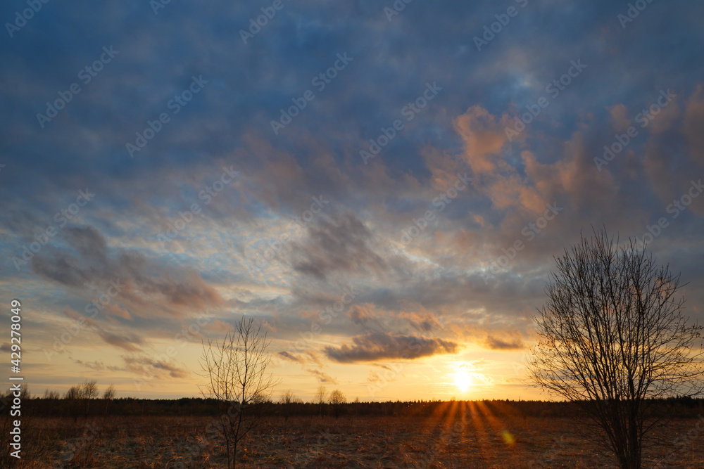 landscape with a beautiful sunset on a spring meadow landscape with a beautiful sunset on a spring meadow