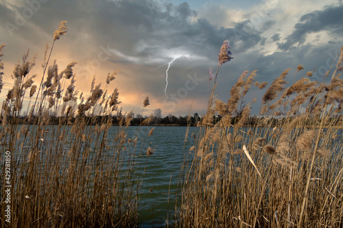 Beautiful stormy sky over the lake with reeds.