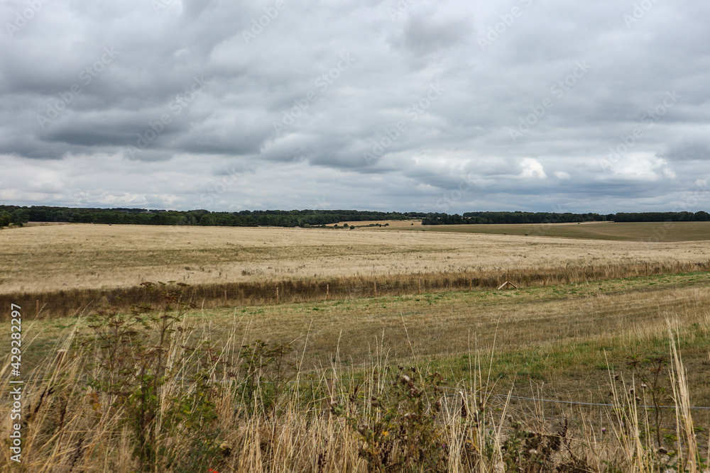 Beautiful english countryside with vast, golden fields and forests on the horizon, covered by approaching rain clouds