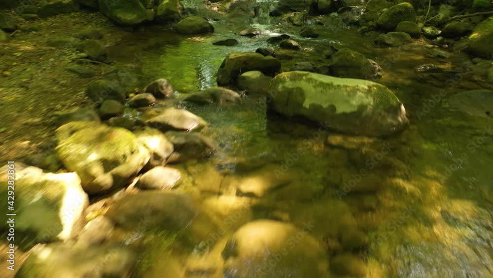 Green river in the sunny woods landscape. Flying close too the magic stream. Green river in the sunny woods landscape. Flying close too the magic stream.