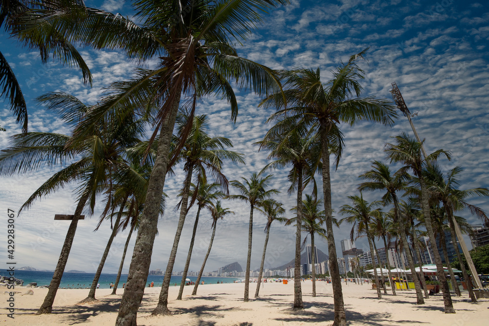 Obraz premium Coconut trees in Copacabana Beach Rio de Janeiro Brazil