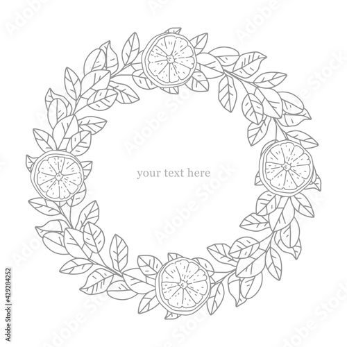 Hand-drawn vector illustration in vintage style. Outline drawing of the plant. Round frame with botanical elements. Template design for text. Leaves and oranges, citrus slices. Tropical plant.