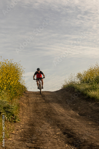 A man wearing a helmet rides a mountain bike downhill on a dirt road lined with yellow wildflowers in Southern California. 
