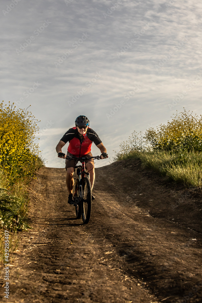 A man wearing a helmet rides a mountain bike downhill on a dirt road lined with yellow wildflowers in Southern California. A man wearing a helmet rides a mountain bike downhill on a dirt road lined with yellow wildflowers in Southern California.