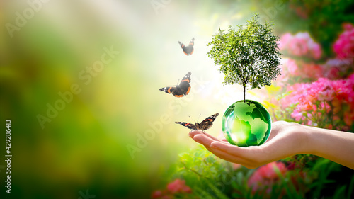Earth Day or World Environment Day concept. Save our Planet, restore and protect Green Nature, sustainable lifestyle and Climate literacy theme. Globe, Tree in hand and flying butterflies, 22 april. photo