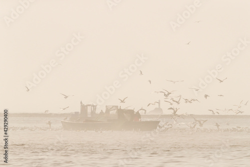 Obraz na plátne Boats of the coastal professional fisherman checking their fish traps on the sea