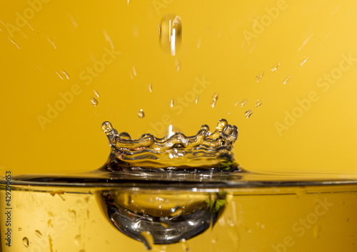 Water drop photography