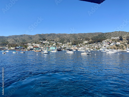 Catalina Island Avalon Harbor
