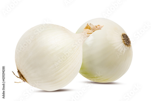Two white onions isolated on white background  with clipping path