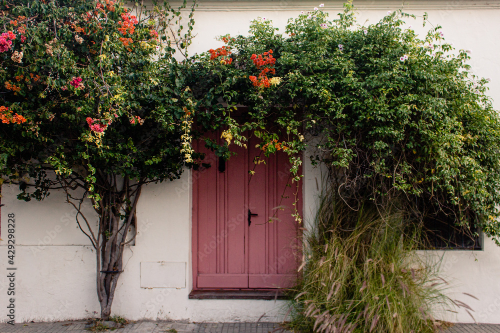door with flowers, Colonia del Sacramento, Uruguay door with flowers, Colonia del Sacramento, Uruguay