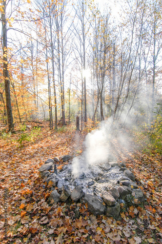 Smoke in th fall trees photo