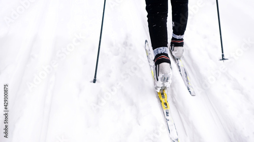 Cropped view of legs and skis while sporting. Back view on ski runner on track. Hobby cross country skiing in winter landscape concept. 