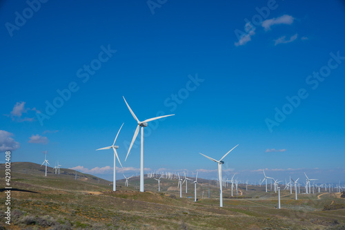 Multiple Windmills in Tehachipi California