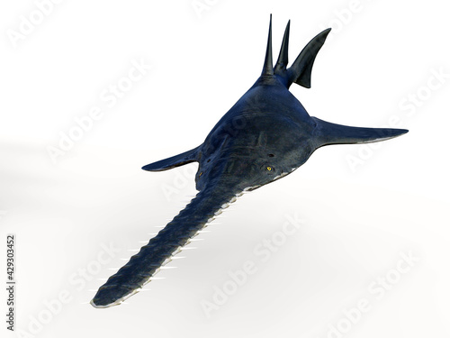 Onchopristis Sawfish Swimming - Onchopristis is an extinct predatory sawfish that lived in the seas of North America and North Africa during the Cretaceous Period.
