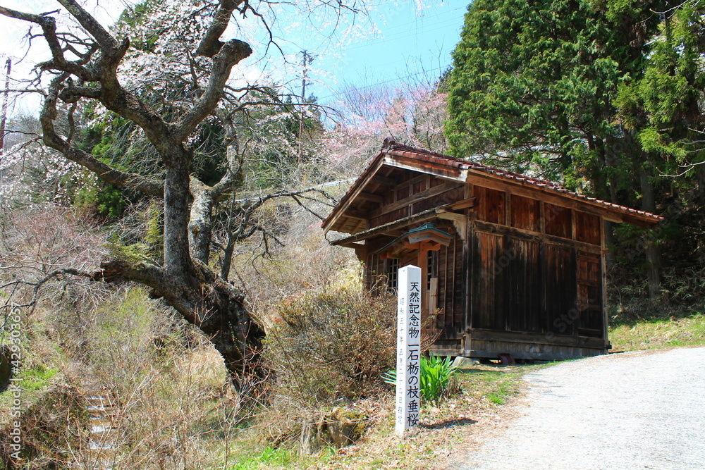 Hiking on the Nakasendo in the Japanese Alps between Nakatsugawa, Magome, Tsumago and Nagisu (中山道, 馬籠宿, 妻籠宿) | On the trail Hiking on the Nakasendo in the Japanese Alps between Nakatsugawa, Magome, Tsumago and Nagisu (中山道, 馬籠宿, 妻籠宿) | On the trail